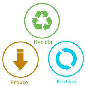 24261415990621d826b8f137e8b1e41560c26802f2f9ef___reducereciclareutiliza